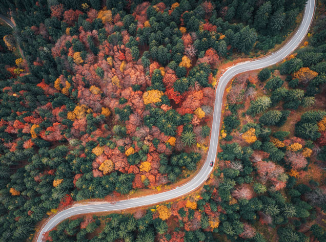 winding road