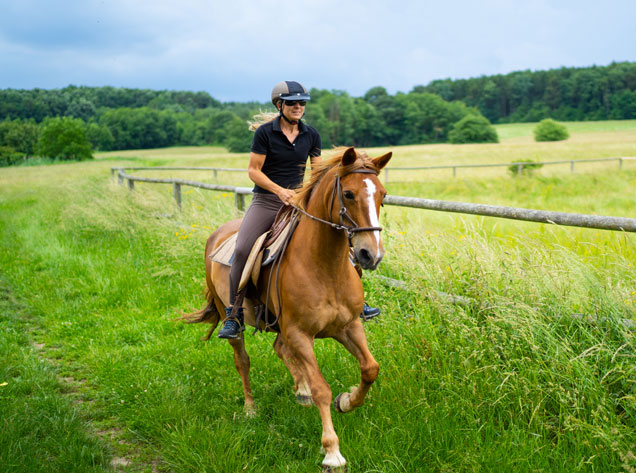 man on horse