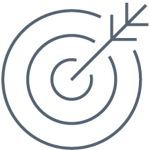 precision icon